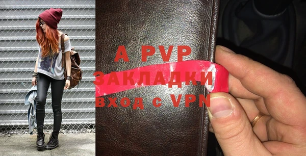 гидра Елабуга