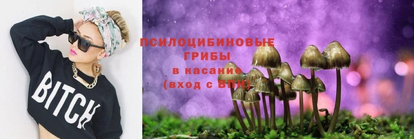 МДМА Заволжск
