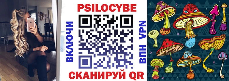 Галлюциногенные грибы Psilocybine cubensis Судак